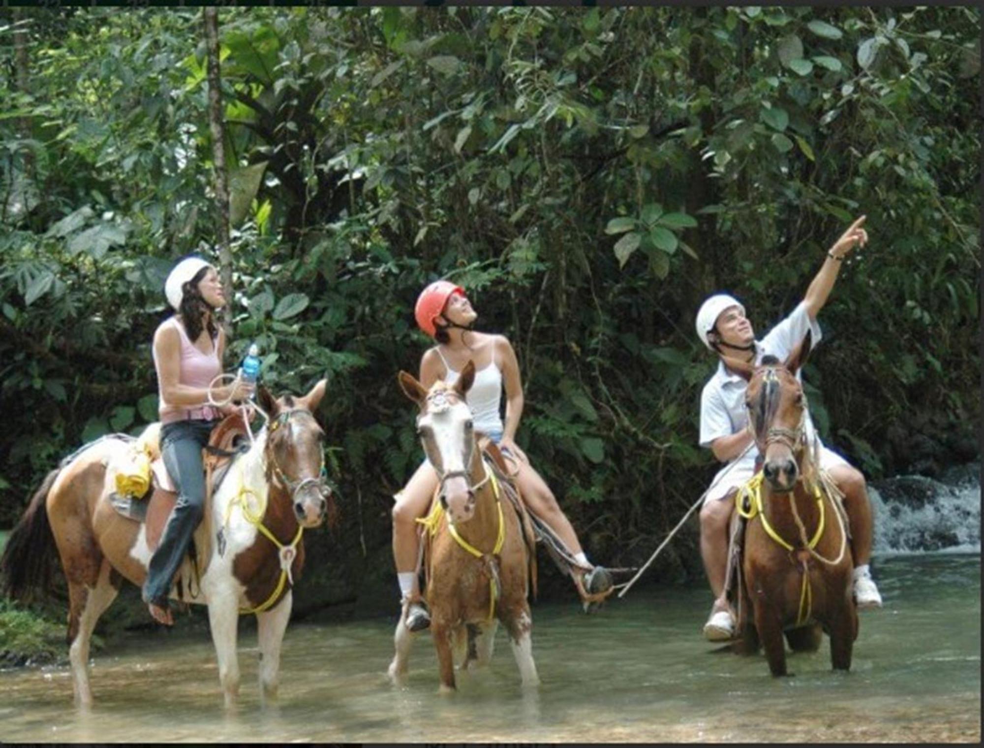 Hotel Planeta Sano Manuel Antonio Εξωτερικό φωτογραφία